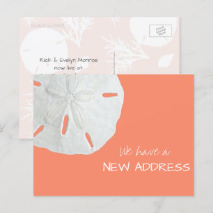 Faire-part Sand Dollar Nouvelle Adresse Carte Postale Faire-p
