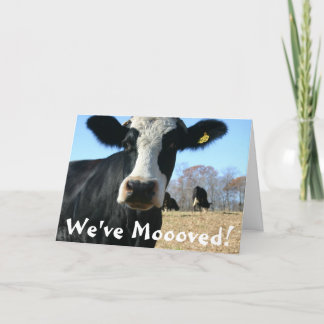 Faire-part Semaine de la vache sainte déplacée