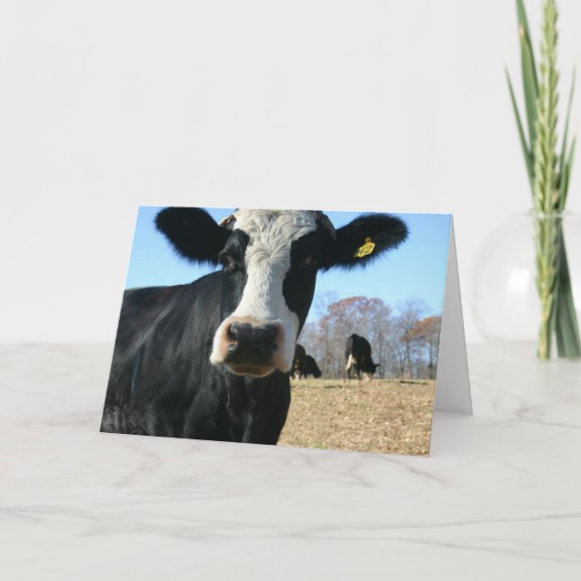 Faire-part Semaine de la vache sainte déplacée (Devant)