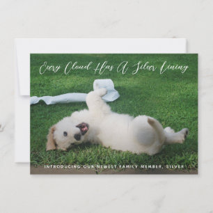 Faire-part Silver Lining Photo Pet Adoption