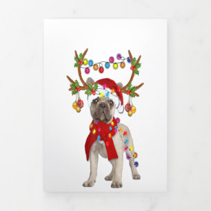 Faire-part Trois Volets French Bulldog Gorgeous Reindeer cadeau de Noël