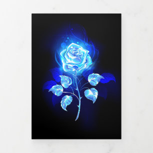Faire-part Trois Volets Rose bleu brûlant