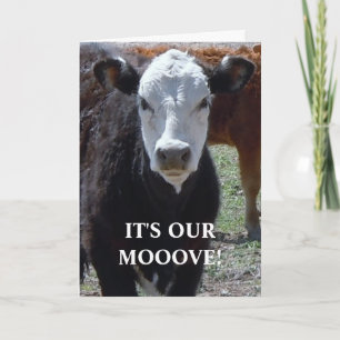 Faire-part Vache noire et blanche - Changement d'adresse de l