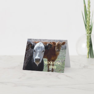 Faire-part Vaches mignonnes - Changement d'adresse de l'Ouest