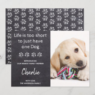 Faire-part Vie Trop Courte Pour Un Seul Chien Nouveau Animal 