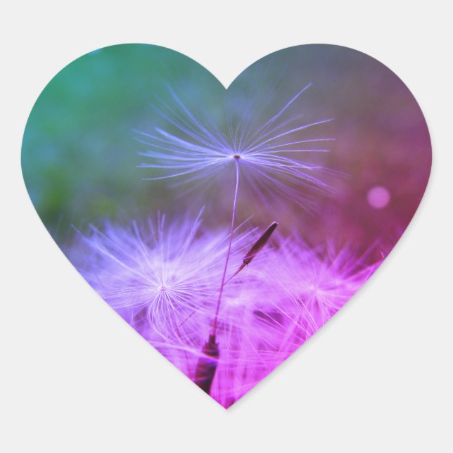 Faire un autocollant de dandilion souhait (Devant)