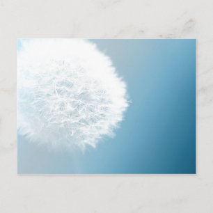 Faire Une Carte Postale Dandelion Souhaitable