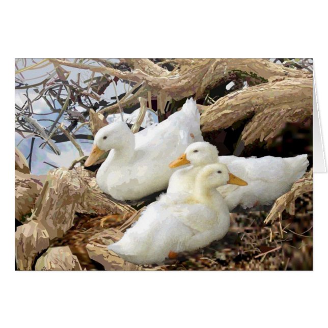 Fairmount Park Duck Family Grußkarte (Vorderseite (Horizontal))