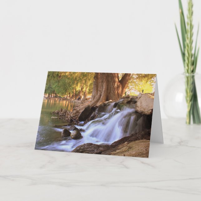 Fairmount Park - Flussufer Karte (Vorderseite)