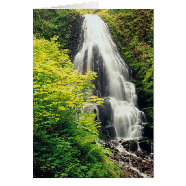 Fairy Falls (Devant)