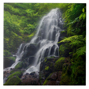 Fairy Falls Colombia River Gorge Oregon. Fliese