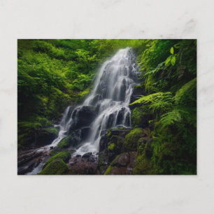 Fairy Falls   Colombia River Gorge Oregon. Postkarte