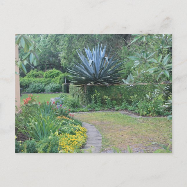 Fairy Garden Postkarte (Vorderseite)