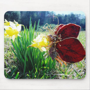 Fairy in den Affodien Mousepad