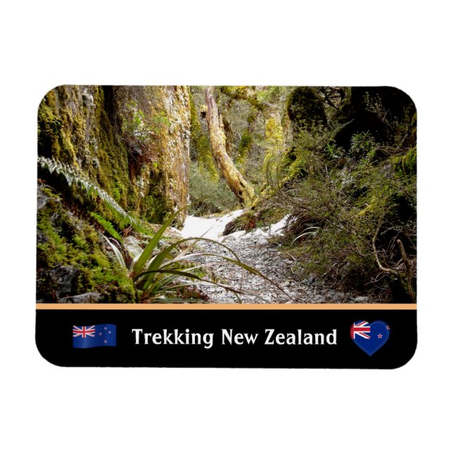 Fairy Jungle, Kiwi trekking /Neuseeland Magnet (Horizontal)