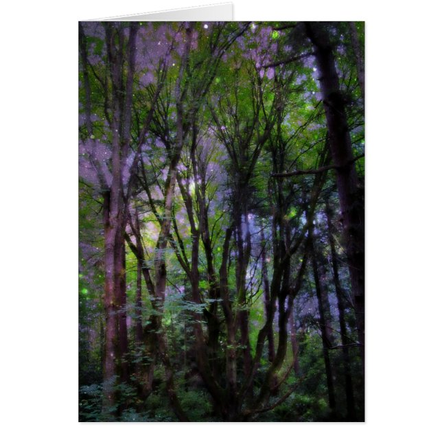 Fairy Lights Surreal Forest (Vorne)