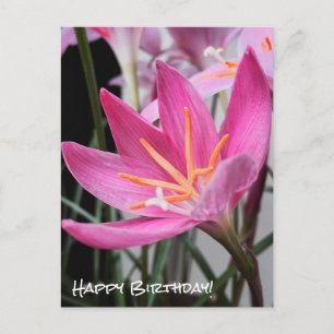 Fairy Lily Birthday wünscht Postcard Postkarte