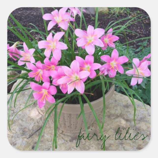 Fairy Lily Stickers (Vorderseite)