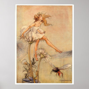 Fairy on a Daisy - Drucken Poster