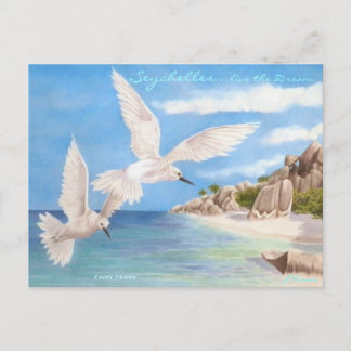 Fairy Terns Postkarte