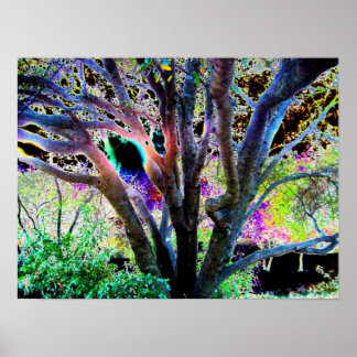 Fairy Tree Poster
