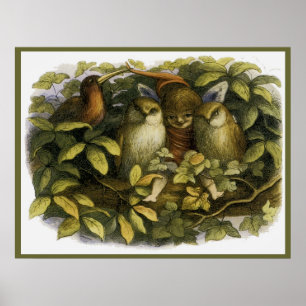 "Fairy with Owls" von Doyle - Print Poster