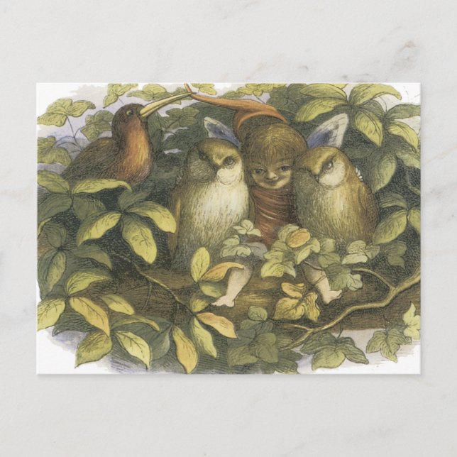Fairyland, 1870 Fairy mit Eulen Postkarte (Vorderseite)
