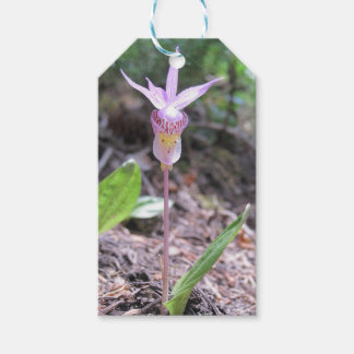 Fairyslipper Orchid-Blume Geschenkanhänger