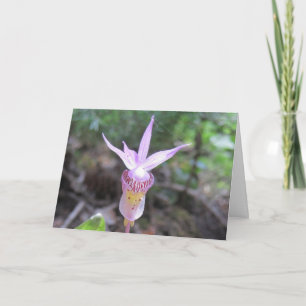 Fairyslipper Orchid-Blume Karte
