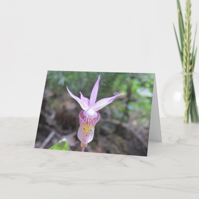 Fairyslipper Orchid-Blume Karte (Vorderseite)