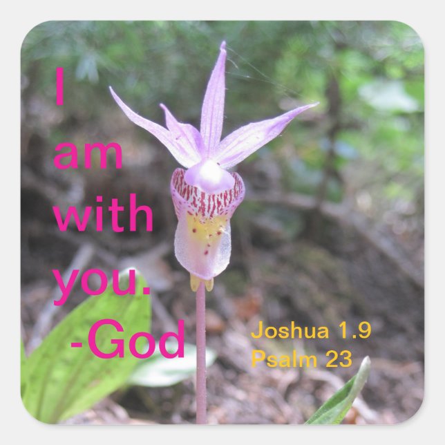 Fairyslipper Orchid Blume Square Sticker (Vorderseite)