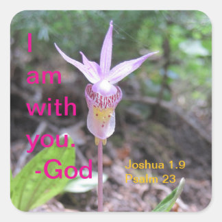 Fairyslipper Orchid Blume Square Sticker