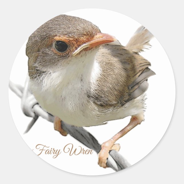 "Fairywren" Runder Aufkleber (Vorderseite)