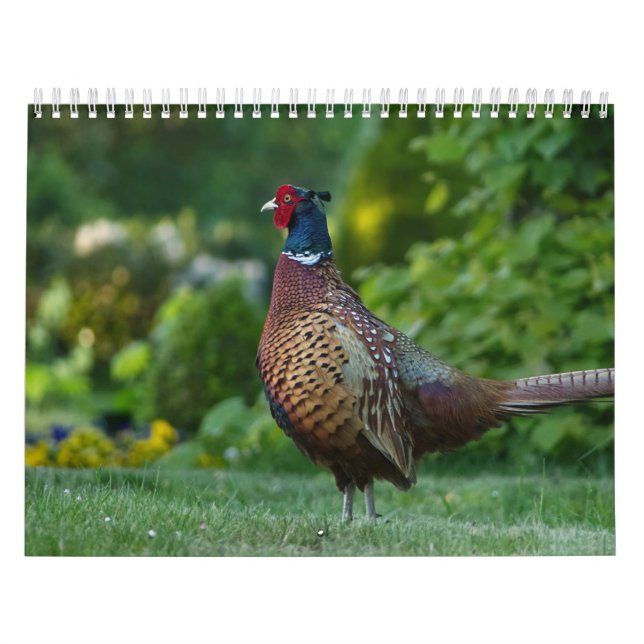 Faisan-Kalender Kalender (Titelbild)