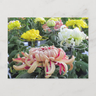 Faisée des fleuristes : Carte postale