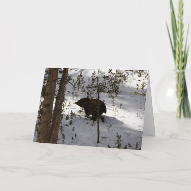 Fait une carte d'ours… (Devant)