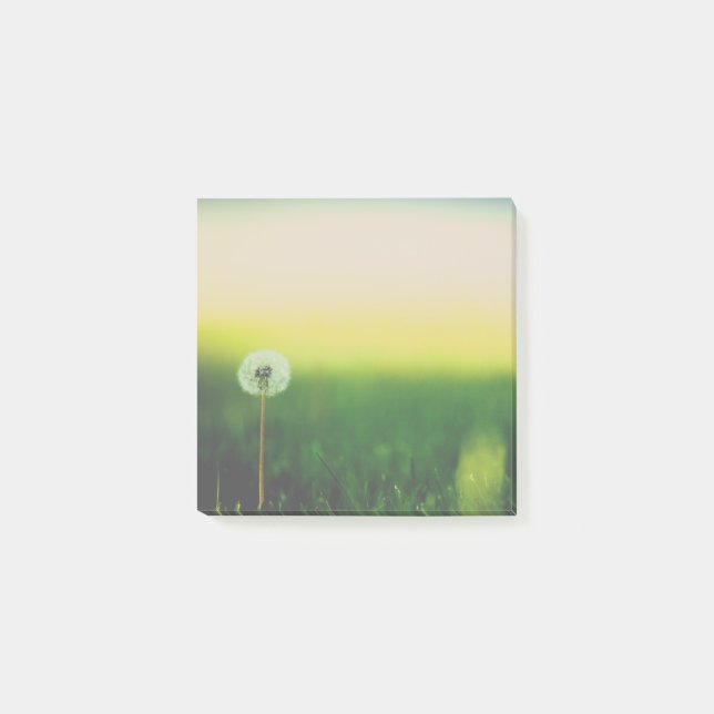 Faites les notes de post-it de souhait (Devant)