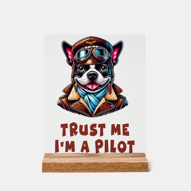 Faites-moi confiance, je suis pilote (Recto)