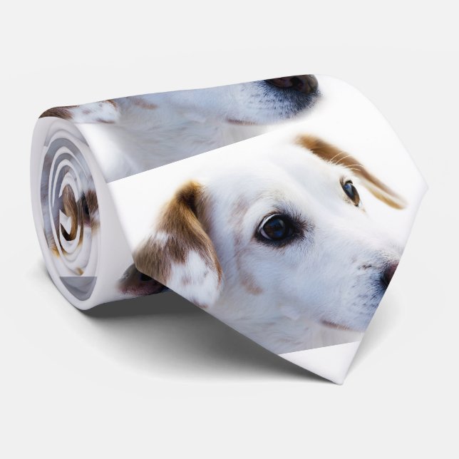 Faites votre propre cravate (Roulé)