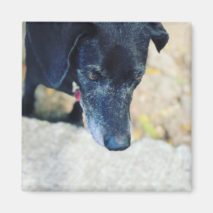 Faites votre propre magnet