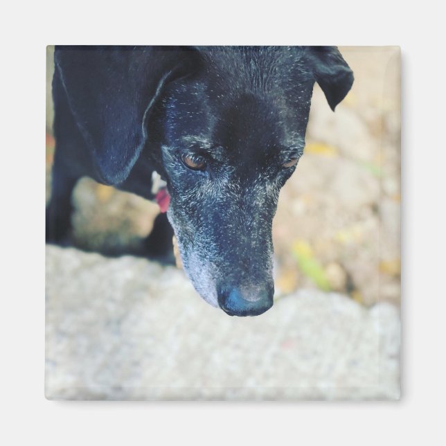 Faites votre propre magnet (Devant)