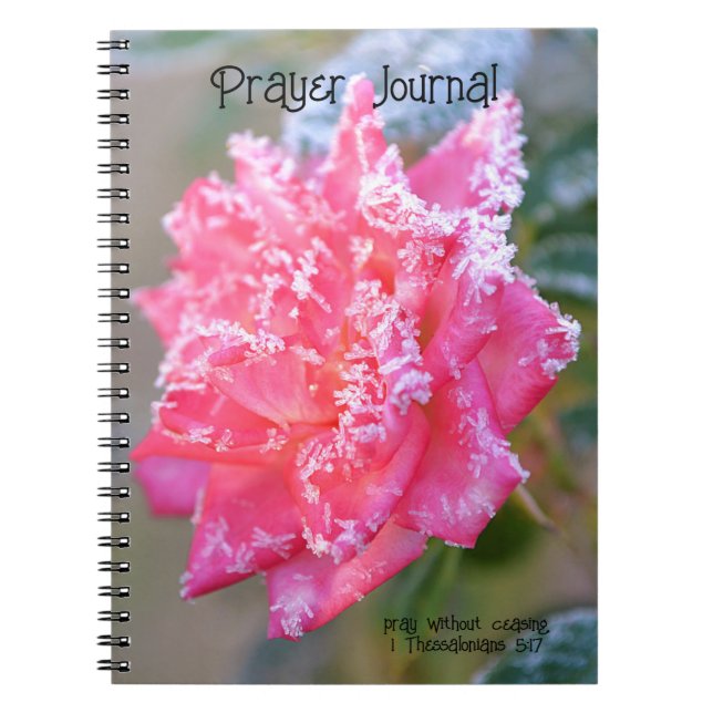 Faith Ice Crystals Rose in Pink Prayer Journal Notizblock (Vorderseite)