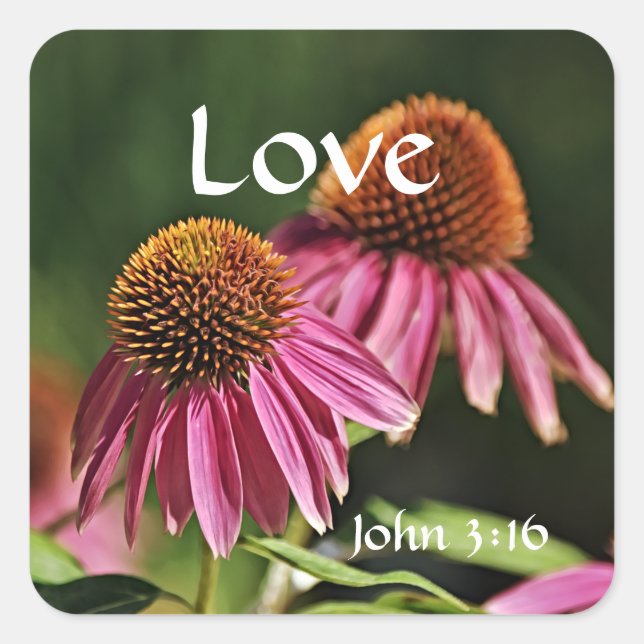 Faith Pink Fleur sauvage Love Bible Sticker (Devant)