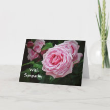 Faith Pink Roses Bible Verse Sympathie Karte