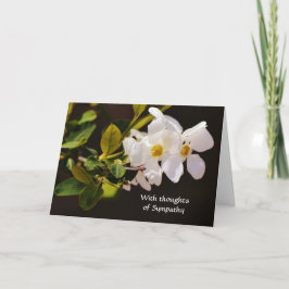 Faith White Blossom Blume Sympathie Karte