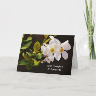 Faith White Blossom Blume Sympathie Karte