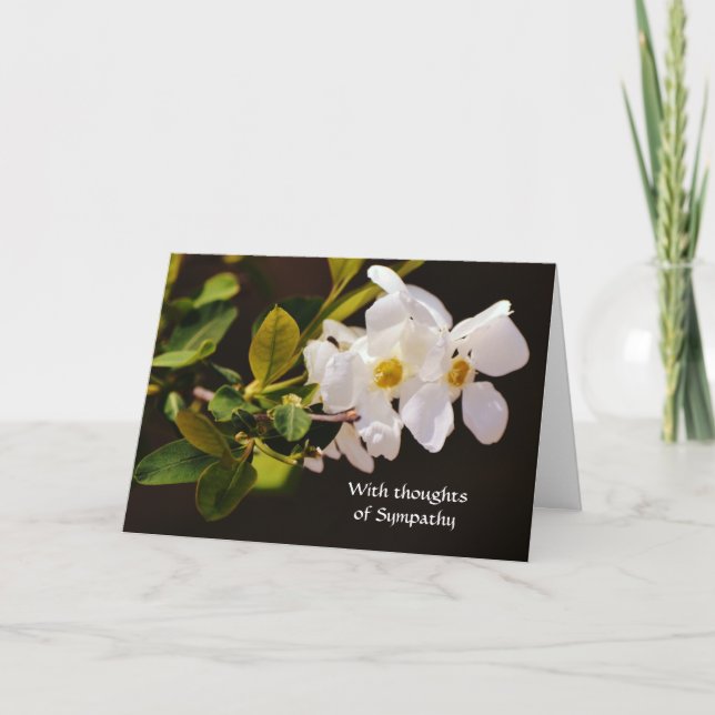 Faith White Blossom Blume Sympathie Karte (Vorderseite)