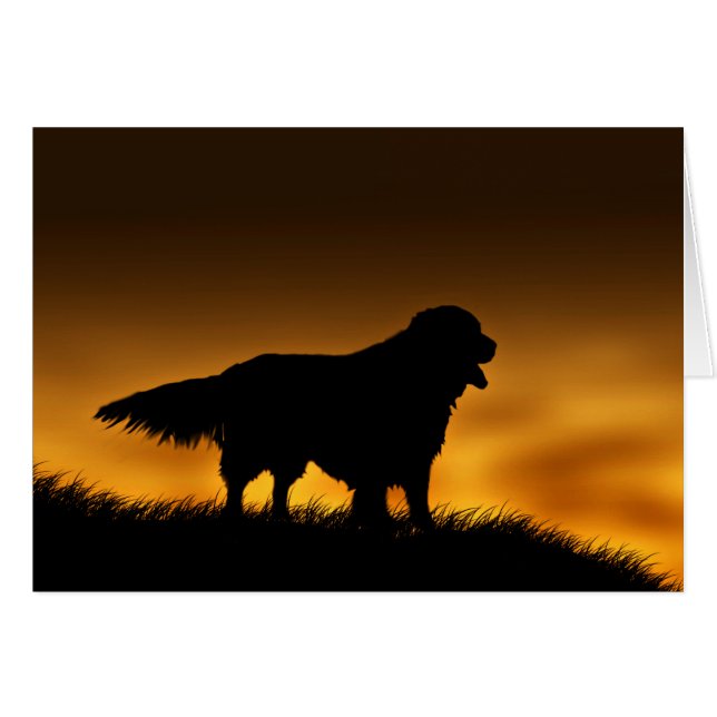 Faithful Golden Retriever (Vorderseite (Horizontal))