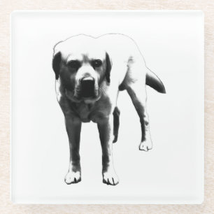 Faithful Labrador - Drink Companion Glasuntersetzer