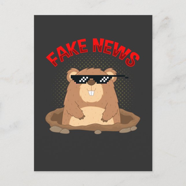 Fake News Pennsylvania Punxsutawney Postkarte (Vorderseite)